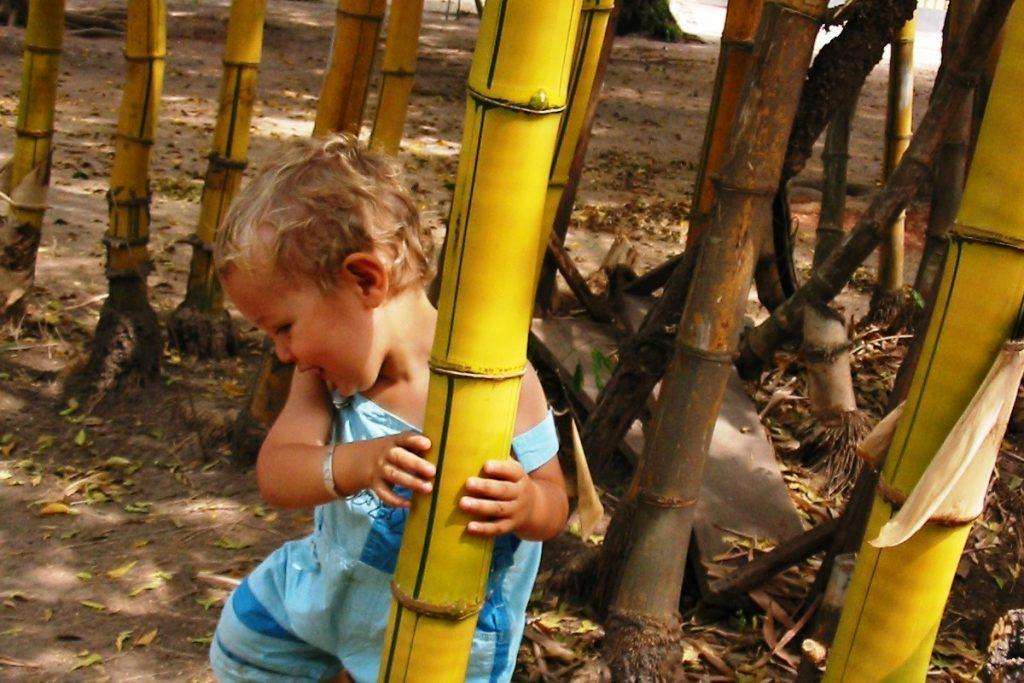 Enfant au bambou