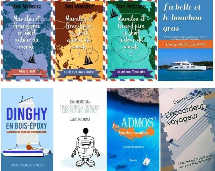 Couvertures de livres de Domi
